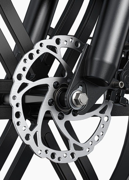 ENGWE L20 Boost Tiefeinsteiger E-Bike