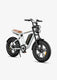 M20 Motorcycle-styled Electric Bike