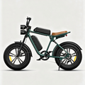 Grün-ENGWE M20 E-Bike im Motorrad-Stil